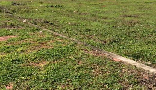 Chính Chủ Cần Bán Lô Đất Thổ Cư Ngay Chợ Mới Long Điền, Brvt