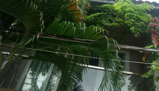 Bán Nhà 4 Tầng Hxh Tô Hiến Thành,Q10 Dt:4.2*15m,Giá Chỉ Hơn 8 Tỷ.