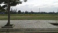 Giữ Chổ Ngay Dự Án Sakura Central Park Giai Đoạn 2 Nhận Liền Tay Chiết Khấu Khủng 11%