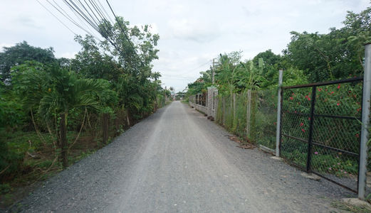 Nợ Tiền Bán Gấp 133m2 Đường Nhánh Tân Liễu, Bình Chánh