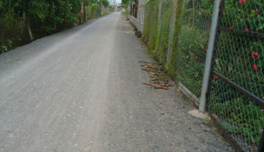 Nợ Tiền Sang Gấp133m2 Đường Nhánh Tân Liễu, Bình Chánh