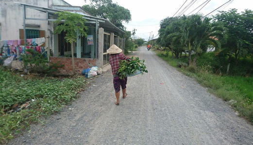  Sang Gấp133m2 Đường Nhánh Tân Liễu, Bình Chánh