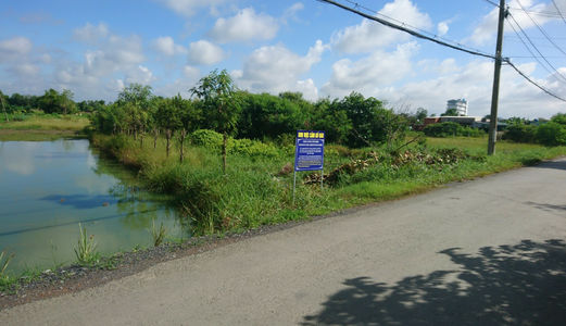 Nợ Tiền Ngân Hàng  Bán Gấp 3000m2  Đường  Nhánh Đinh Đức Thiện - Bình Chánh.