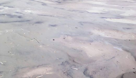 Đất Thổ Cư Bình Chánh - 1150m2, 2 Mặt Tiền – 2.5 Tỷ, Còn Thương Lượng. Chính Chủ