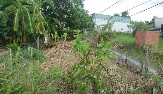  Nợ Tiền Bán Gấp 133m2 Đường Bùi Văn Sự, Bình Chánh