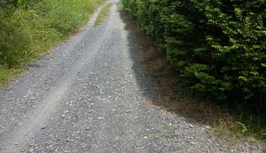 Tôi Cần Bán 133m2 -Giá: 480tr Đường Tân Liễu,Bình Chánh