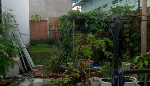 Lô Đất Nền Đường TL41, Q12 