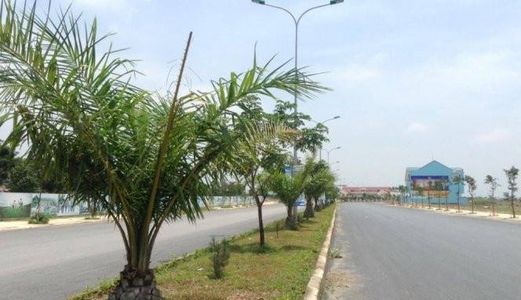 Cần Bán Đất TP, DT 100m2, Sổ Đỏ Riêng