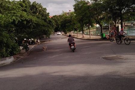 Bán Biệt Thự Ở Quảng An-Tây Hồ 144m2 Giá 26 Tỷ