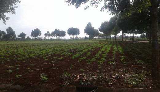 Cấn Bán 2 Lô Đất .Phan Đăng Lưu .Khu Mê Trô .