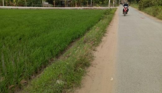 100m2 Đất Thổ Cư HL 11, Bình Chánh,SH, Chỉ 350tr LH 0901329228