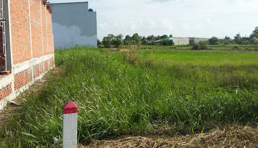 Rất Cần Tiền Nên Bán Gấp Đất  Bình Chánh 140m2, 480trieu, Đường Cả Cường, Bình Chánh.