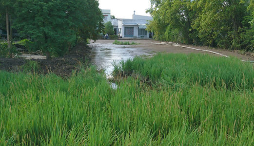 Tôi Rất Cần Tiền Nên Bán Miếng Đất Thổ Cư Bình Chánh Giá 2.2tr/M2, Qui Đức, Bình Chánh