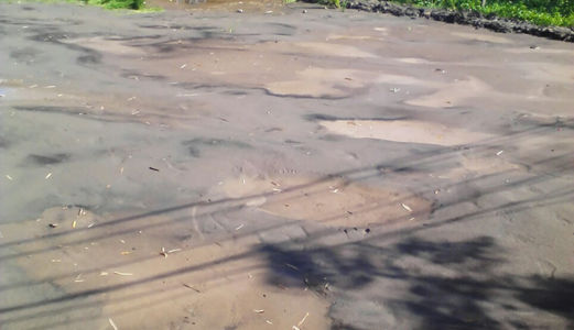 Đất Thổ Cư Bình Chánh,1150 M2 Đường Hưng Lộ 11, Giá 2.5 Tỷ Đất Đẹp, Chính Chủ, Shr