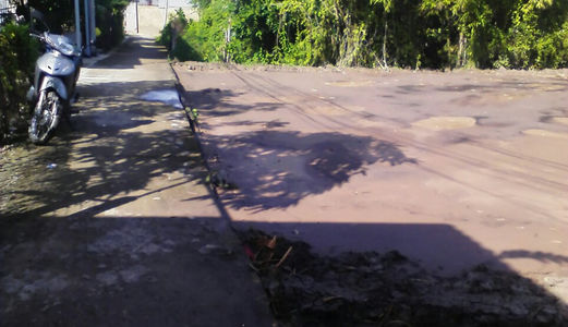 Chú 5 Cần Tiền Bán Gấp Lô Đất Thổ Cư Bình Chánh, 1150 M2, 2 Mặt Tiền, Giá Rẻ, Hưng Lộ 11, Quy Đức