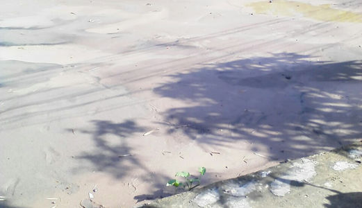 Vỡ Nợ Bán Gấp Lô Đất Thổ Cư Bình Chánh 1123 M2 (2 Mặt Tiền). Giá 2.5 Tỷ- Hưng Lộ 11- Quy Đức.