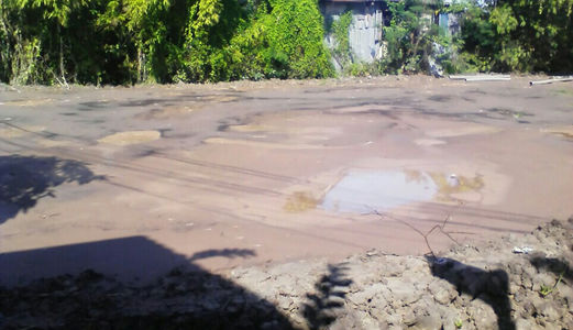 Đất Thổ Cư Bình Chánh Cần Sang Lại 1150 M2  Đường  Hưng Lộ 11– Quy Đức- Bình Chánh.