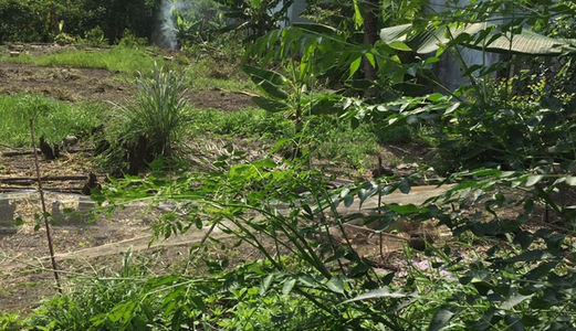 Cần Sang Gấp 1125 M2 Đất Thổ Cư Bình Chánh