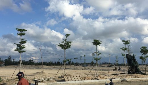 Chỉ Còn Vài Lô Cuối Cùng – Nhanh Tay Nắm Bắt Cơ Hội Đầu Tư Sinh Lời Cao