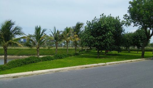 Mở Bán Đất Những Vị Trí Sát Tòa Nhà Điều Hành Fpt City.