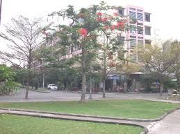 Cho Thuê Căn Hộ Lô B Lầu 1 P Tây Thạnh Q Tân Phú