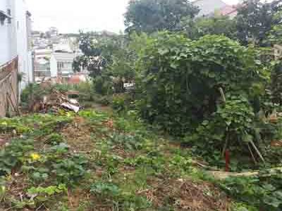 Đất Xây Dựng Sổ Đỏ Riêng Phường 2 Gần Trung Tâm Đà Lạt – Bất Động Sản Liên Minh