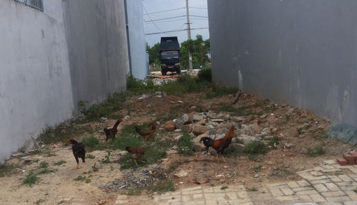 Cần Bán Đất Hoàng Đình Ái, Sát Chung Cư, Hòa Xuân, Cẩm Lệ, Đà Nẵng