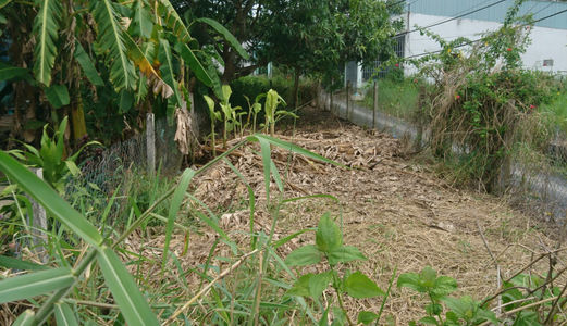 Nợ Tiền Vay Nóng Bán Gấp Đất  Bình Chánh 140m2, 480trieu Đất Đẹp, Tân Liễu, Hưng Long