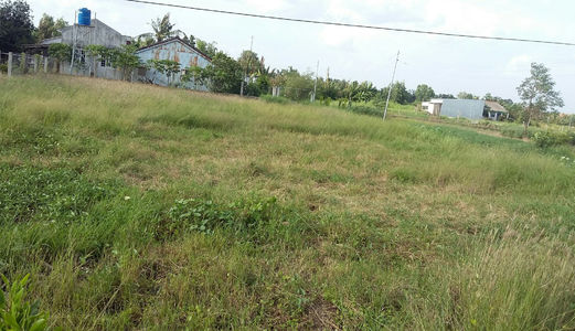 730ngàn/M2, 1500m2 Đất  Bình Chánh   Đường Hóc Hưu, Quy Đức, Bình Chánh.