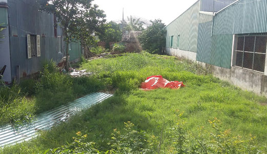 Đất  Bình Chánh,1260 M2 Đường Tân Liễu, Giá 2.1tỷ, Đất Đẹp, Chính Chủ, Shr