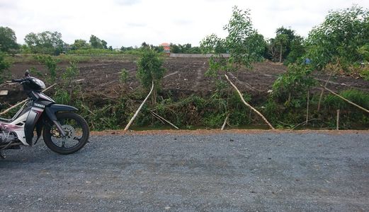 Hụt Tiền Bán Gấp 1911m2 Đất Làm Nhà Kho Đường Tân Liễu - Hưng Long - Bình Chánh