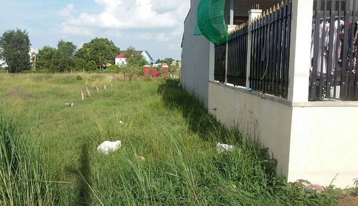 Tôi Cần Tiền Thanh Toán Tiền Hàng Nên Bán Gấp Đất Thổ Cư Bình Chánh 300 M2, Mặt Tiền Đường Nhựa 8m,