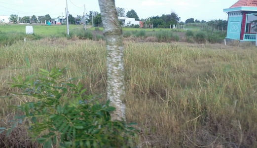 730ngàn/M2, 1500m2 Đất  Bình Chánh   Đường Hóc Hưu, Quy Đức, Bình Chánh.