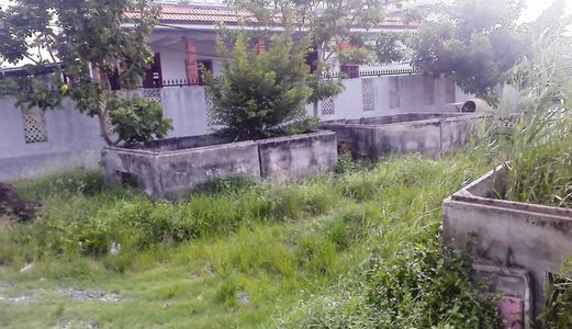 Đất Thổ Cư Bình Chánh 300 M2, Mặt Tiền Đường Nhựa 8m, Hưng Long