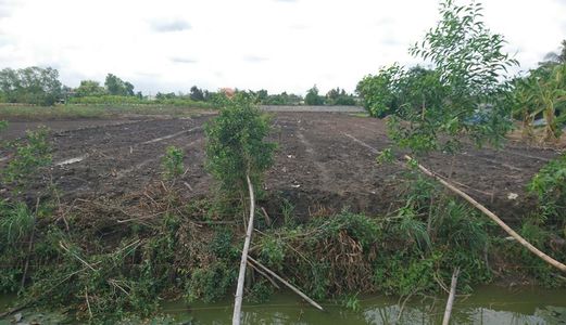 Thổ Lổ Bán Gấp 1911m2 Đất Làm Nhà Kho Đường Tân Liễu - Hưng Long - Bình Chánh