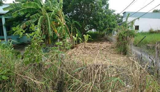 730ngàn/M2, 1500m2 Đất  Bình Chánh   Đường Hóc Hưu, Quy Đức, Bình Chánh.