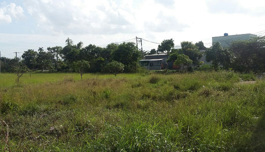 730ngàn/M2, 1500m2 Đất  Bình Chánh   Đường Hóc Hưu, Quy Đức, Bình Chánh.