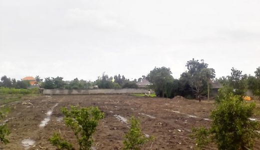 Tôi Cần Bán Miếng Đất Thổ Cư Bình Chánh Giá 3.6tr/M2, Hưng Long, Bình Chánh