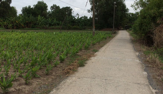 Bán Gấp Đất Hai Mặt Tiền, Diện Tích 1000m2, Giá 1,6 Tỷ Đường Nhánh T14, Tây Qúy Tây, Bình Chánh.