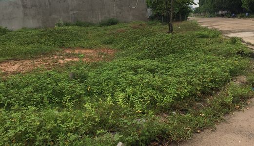 Đất Rộng 130m2(6x22) Ngay Quốc Lộ 13  Mặt Tiền Đường Nhựa 10m , Dân Cư Đông Đúc 