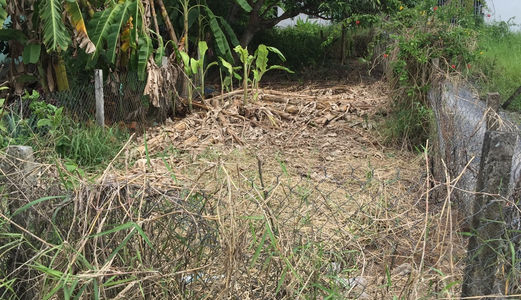 Cần Sang Lại 133 M2 Đất Xã Hưng Long, Bình Chánh.