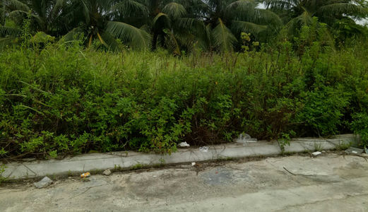 Đất Nền Đường Thạnh Xuân 52, Q12.