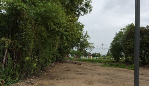 1115m2 Đất Mặt Tiền, Giá 2,5 Tỷ Bán Gấp, Nhánh Hương Lộ 11, Bình Chánh