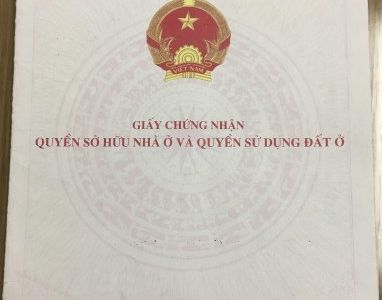 Đang Cần Tiền Bán Gấp Nhà 1tret 2lau Mặt Đường Tiền Nguyễn Xí Q. Bình Thạnh