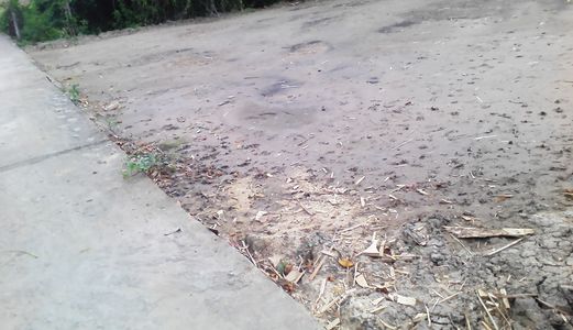Đất Thổ Cư Bình Chánh,1123 M2 Đường Hưng Lộ 11, Giá 2.5 Tỷ Đất Đẹp, Chính Chủ, Shr