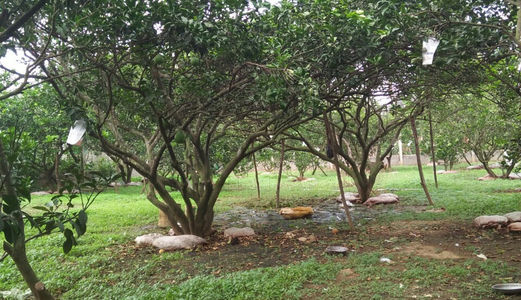 Cần Bán Đất Tại Xã Tân Bình, Vĩnh Cửu, Đồng Nai