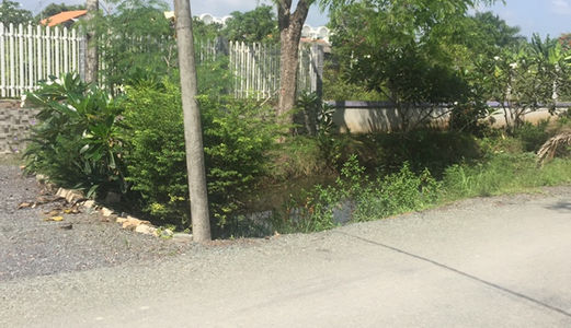 Bán Gấp 1910m2 (Có 1300 Thổ Cư), Giá: 7,5 Tỷ Mặt Tiền Đường Oto 8m Xã Hưng Long, Bình Chánh.