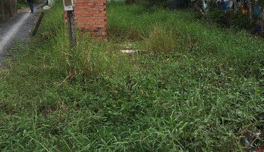 Cần Sang Gấp 1200 M2 Đất Xã Đa Phước, Huyện Bình Chánh.