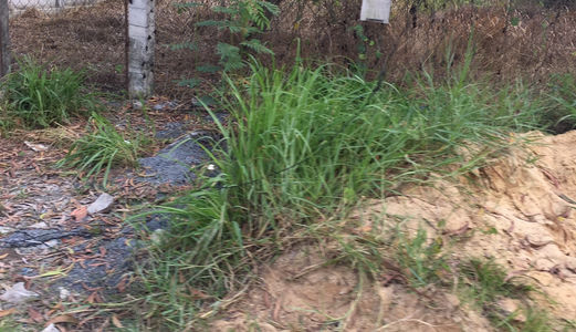 Bán 280m2 Đất Ngã Ba Đông Tân , Dt743 Dĩ An , Bình Dương Giá Rẽ