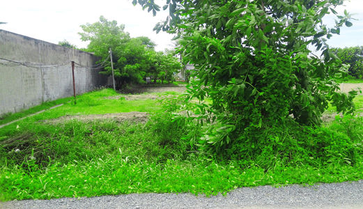 Bán Đất Thổ Cư Hưng Long Bình Chánh Giá Rẻ